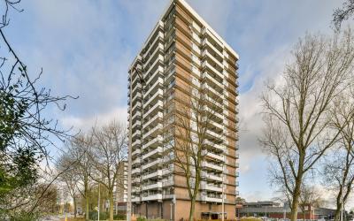 Groenhof 288