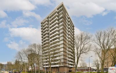 Groenhof 363