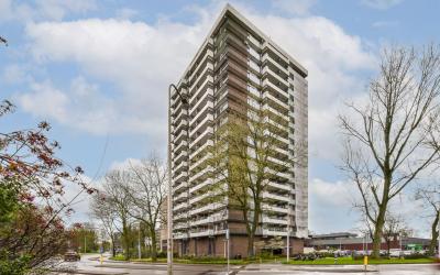 Groenhof 393