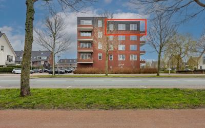 Cannenburgh 81