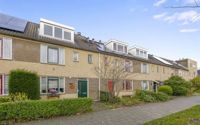 Malandolaan 12