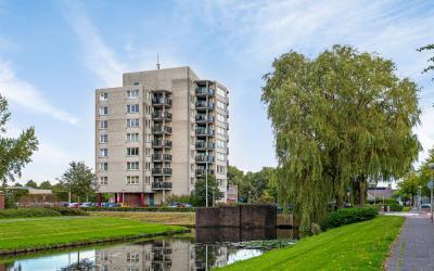 Zeelandiaho. 81