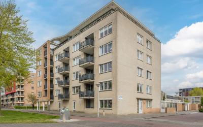 Zeelandiaho. 110