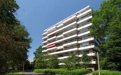 Dr. Willem. 486