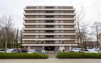 Dr. Willem. 518
