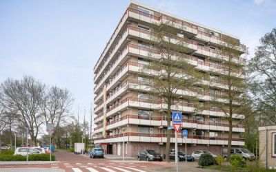 Dr. Willem. 520
