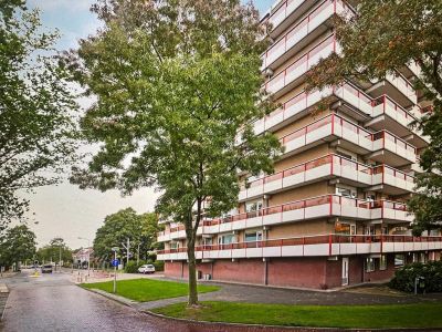 Schanshoek 23