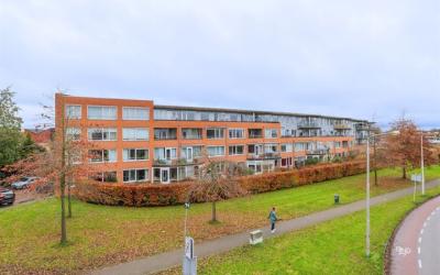 Dijkgraaf 310