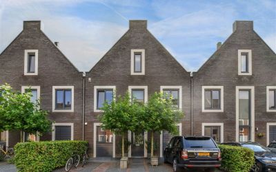 Boterbloem 25