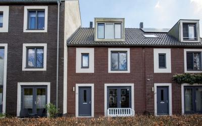 Boterbloem 63