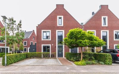 Boterbloem 79
