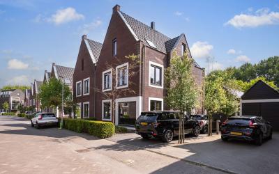 Boterbloem 83