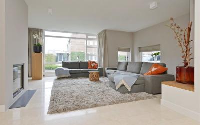 Goudplevier 10