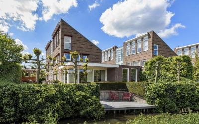 Goudplevier 21