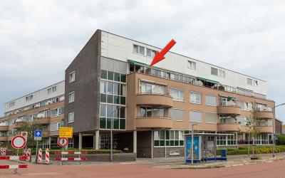 Willem Bare. 13-J
