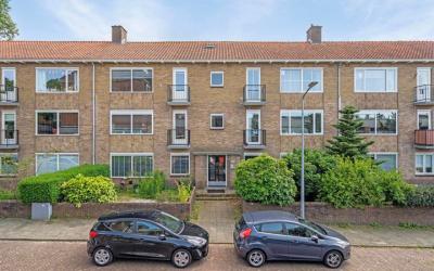 Nieuwlandse. 19