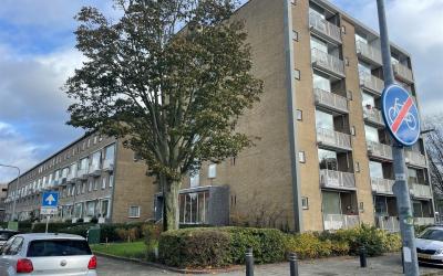 Loosdrechts. 249