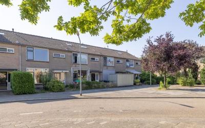 Calvijnhof 16
