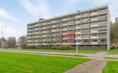Erasmuslaan 19