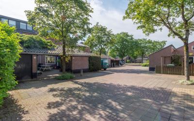 Krekelmeent 75