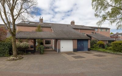 Bijenmeent 113