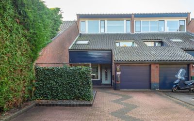 Goudwespmee. 40
