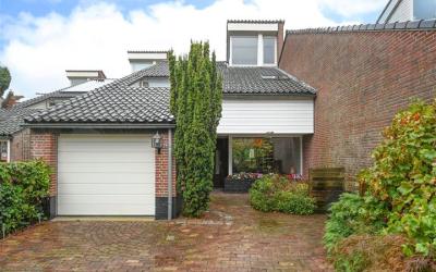 Goudwespmee. 43