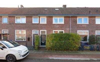 Zilvermeeuw. 14