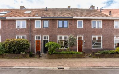 Zilvermeeuw. 24