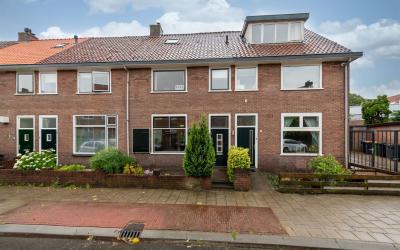 Zilvermeeuw. 4