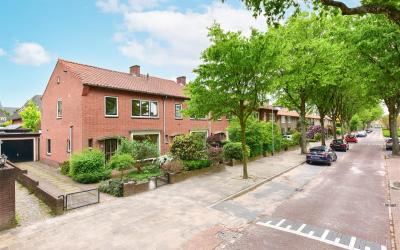 Lieven de K. 55