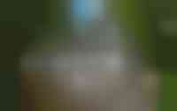Rading 10-18