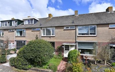 Lieve Geelv. 41