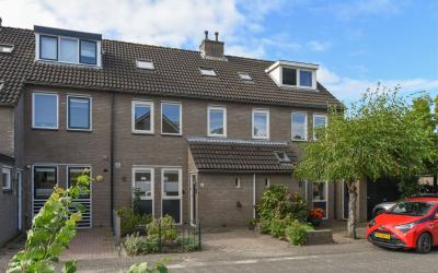 Moeraszegge 6
