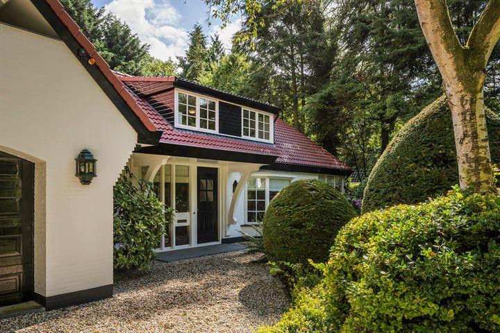 Vrijstaande woning te koop: Vredelaan 76, Laren
