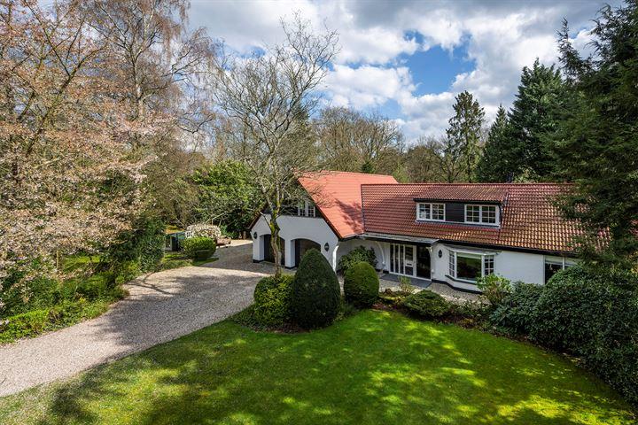 Vrijstaande woning te koop: Vredelaan 76, Laren