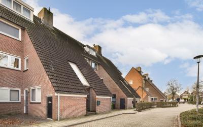 Zalm 44