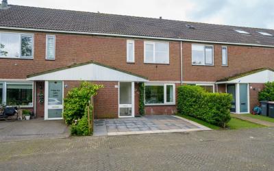 Riet 29