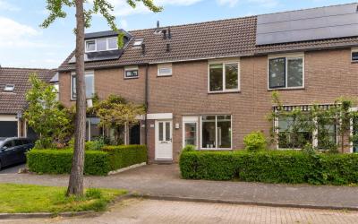 Middelgrond. 118
