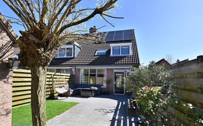 Delfland 41