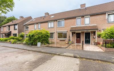 Delfland 16