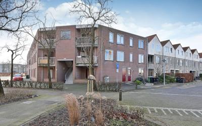 Droogdok 19