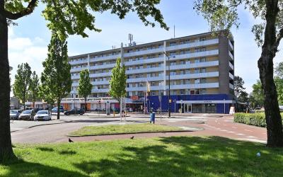 Phohistraat 60