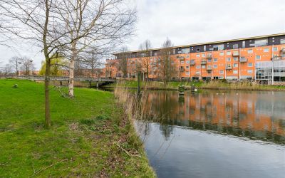 Louis Davidsstraat 134