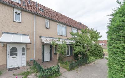 Gipskruidweg 224