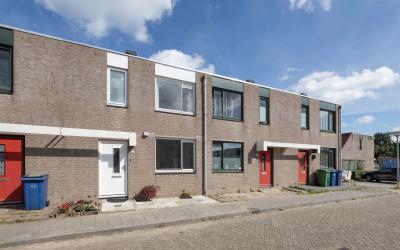 Zaagvisplan. 6