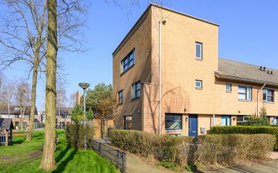 Adriaan van Ostadestraat 31