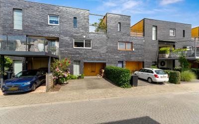 Fokkeboom 31