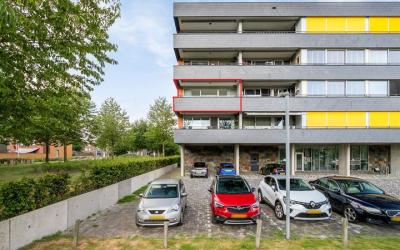 Grootzeil 342