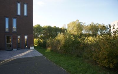 Latijnzeil 42